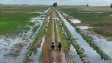 El Gobierno nacional homologó la emergencia agropecuaria