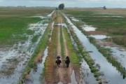 El Gobierno nacional homologó la emergencia agropecuaria