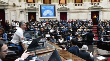 Diputados buscan revertir vetos de Javier Milei por universidades y salud pediátrica