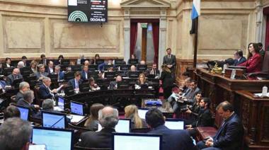 El Senado rechazó definitivamente el veto a la ley de Discapacidad