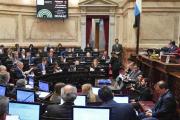 El Senado rechazó definitivamente el veto a la ley de Discapacidad