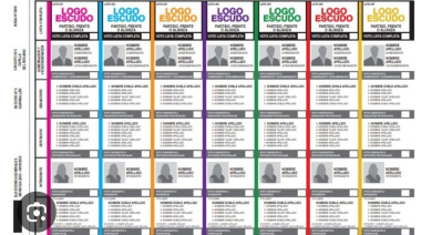 En qué lugar de la Boleta Única en Papel quedó cada fuerza política para octubre