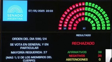 El Senado rechazó Ficha Limpia