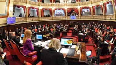 El Senado vuelve a sesionar con las reelecciones indefinidas en el radar