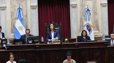 El Senado sesiona para rechazar los vetos de Milei en Garrahan y universidades
