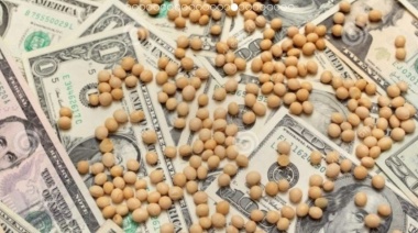 Fuerte caída de la Soja, y los productores se desprenden solo del cultivo necesario