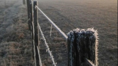 Se viene un fin de semana con heladas generalizadas en la zona núcleo