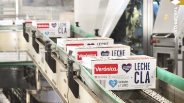 Lácteas en crisis: cuatro gigantes de la industria al borde de la quiebra