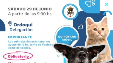 Castración de perros y gatos en Ordoqui