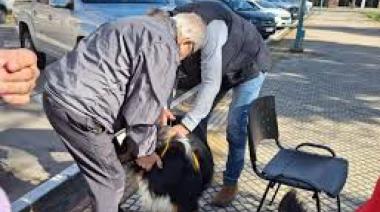 Albergue Canino: continúa la campaña de vacunación antirrábica