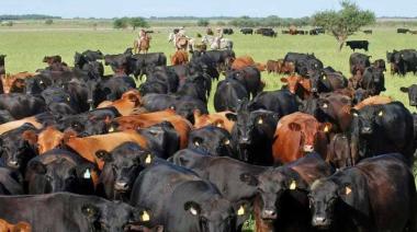 El RIGI para pymes sumará incentivos para compra de genética bovina y riego