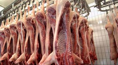 Malestar de productores locales: crece la importación de carne porcina desde Brasil