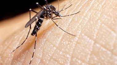 La Provincia compró 500 mil vacunas para combatir la próxima epidemia de dengue