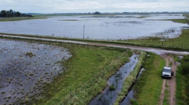 Piden decretar la emergencia agropecuaria en Nueve de Julio, Casares y Pehuajó
