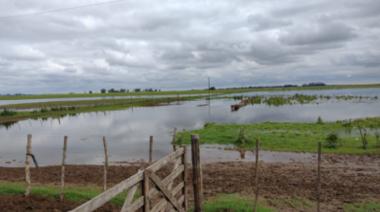 Emergencia agropecuaria: convocan a productores a presentar su declaración jurada