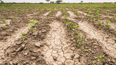 Nación avaló la emergencia agropecuaria para Carlos Casares y 12 distritos más de la Región