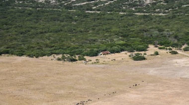 Declaran la emergencia agropecuaria por sequía para Santa Fe