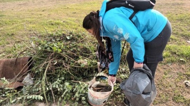 La prevención empieza por casa: instan a descacharrar