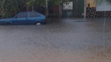 El temporal volvió a causar daños en Nueve de Julio y Bragado