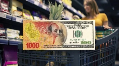 Avanza el bimonetarismo: ahora los precios se podrán exhibir en dólares y otras monedas