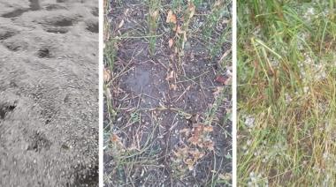Estiman pérdidas del 70% en campos cercanos a Warnes tras la granizada