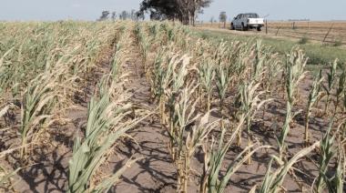 El campo enciende las alarmas por la falta de agua