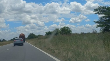 Gentile se sumó al reclamó de obras de mantenimiento para la Ruta 5
