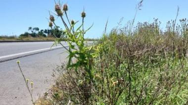 Provincia y municipios denunciarán a Nación por el deterioro de las rutas