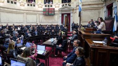 El Senado tratará la suspensión de las PASO, pero el futuro de Lijo es incierto