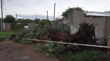 Fuertes vientos y otros 50 milímetros de lluvia cayeron en Bragado