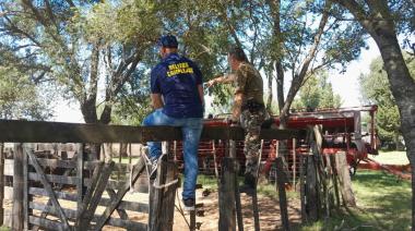 Con aporte de la DAIC Nueve de Julio, realizan exitoso operativo contra el abigeato