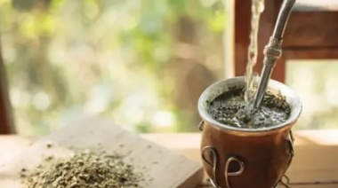 Por la apertura de las importaciones, llega cada vez más yerba desde Brasil y Paraguay