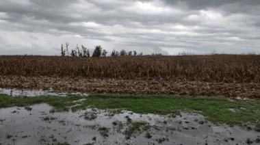 La Provincia eximió del Inmobiliario Rural a productores de Bragado y Nueve de Julio