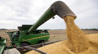 El agro regula la inversión y crece la cautela de cara a las elecciones