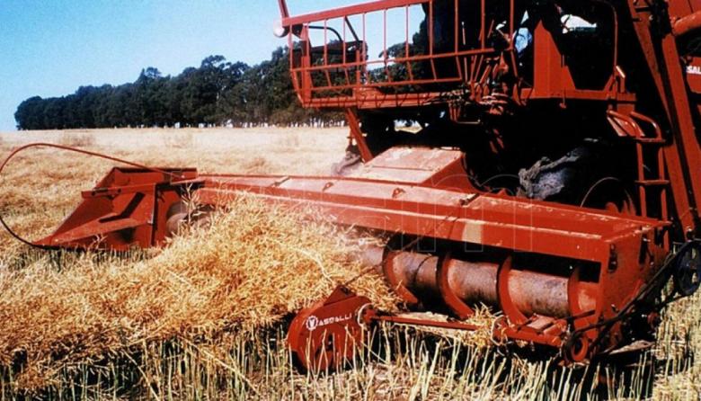 Previo a la suba de las retenciones, los productores aceleran la venta de soja