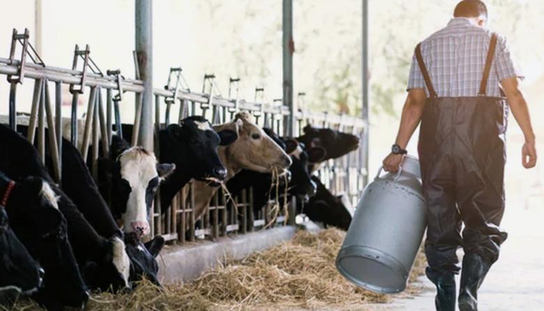 Más de 1.000 tambos cerraron en el país desde que asumió Milei