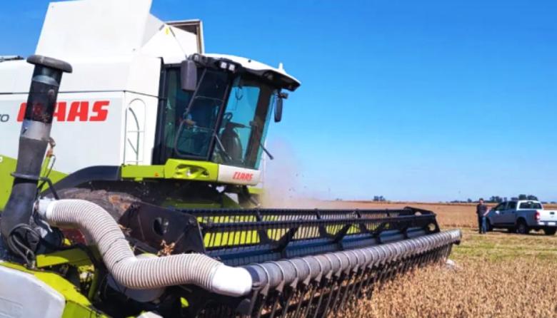 Con un sistema de aire forzado, reducen en un 54 % las pérdidas en la cosecha