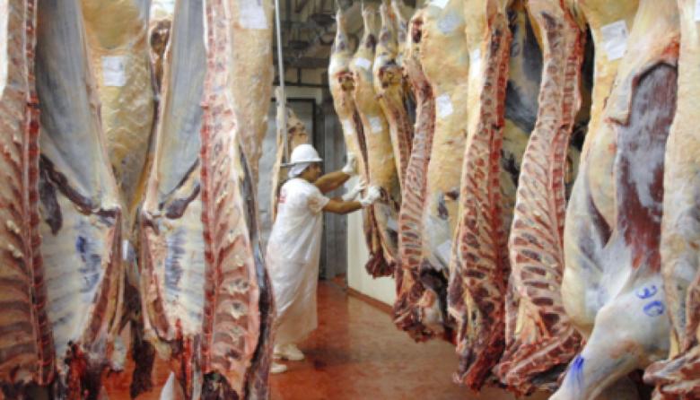 ¿Qué exige Chile para volver a importar carne argentina de la Patagonia?