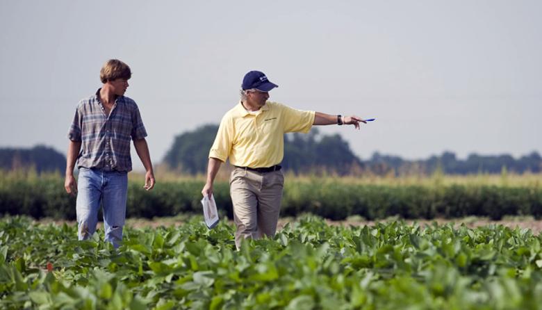 Sigue en descenso la confianza de los productores, que frenan las inversiones