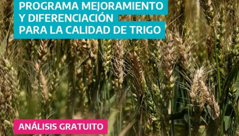 La Provincia avanza con el programa para destacar y evaluar la calidad del trigo