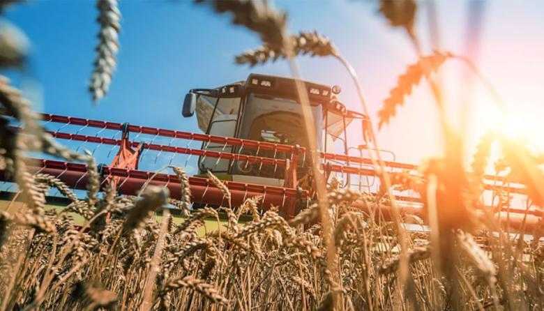 La campaña de trigo comenzó con exportaciones récord en diciembre