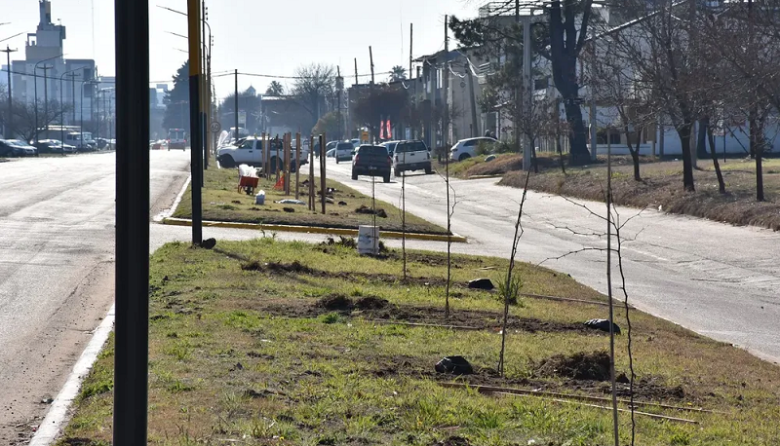 Trenque Lauquen reconocida por su plan de forestación