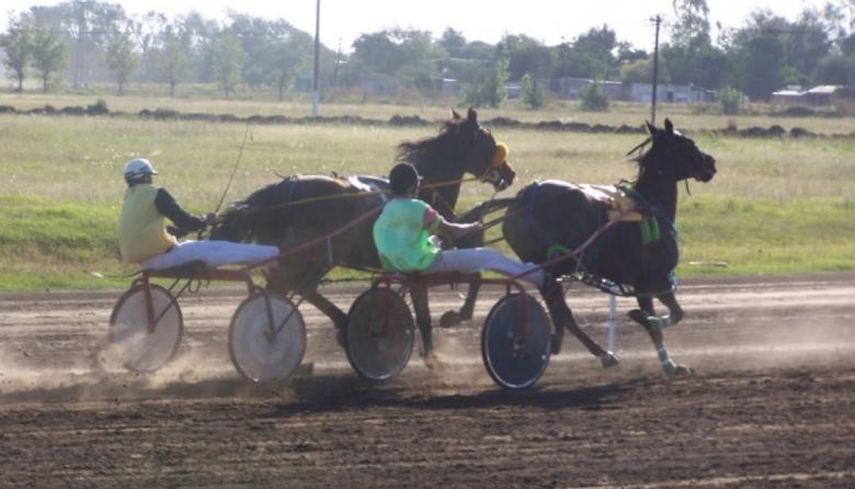 El Hipódromo de Pehuajó retoma sus actividades con un Nacional de Nacionales
