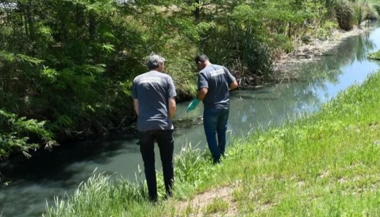 Control del barigüi: el Municipio realiza testeos en puntos estratégicos