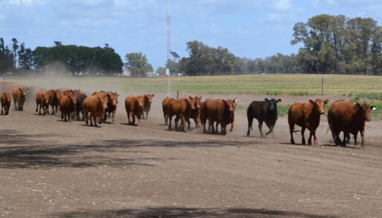 Trazabilidad electrónica: brindan charla informativa en la SR de Nueve de Julio