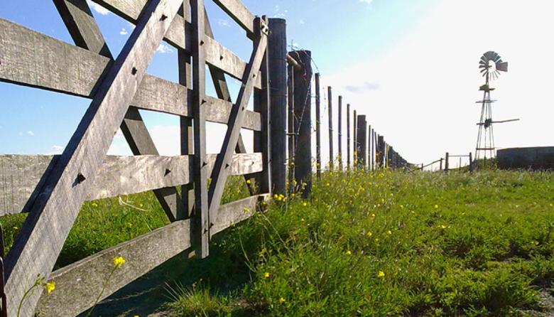 Mercado inmobiliario rural: demanda intensa con una oferta escasa