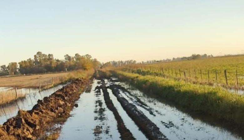 El bloque radical denuncia falta de mantenimiento de los caminos rurales
