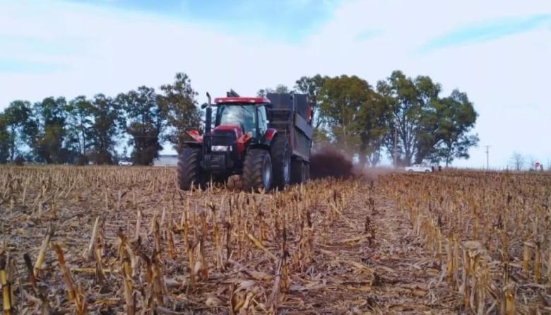 El uso de estiércol puede elevar hasta 26% los rindes de maíz y soja