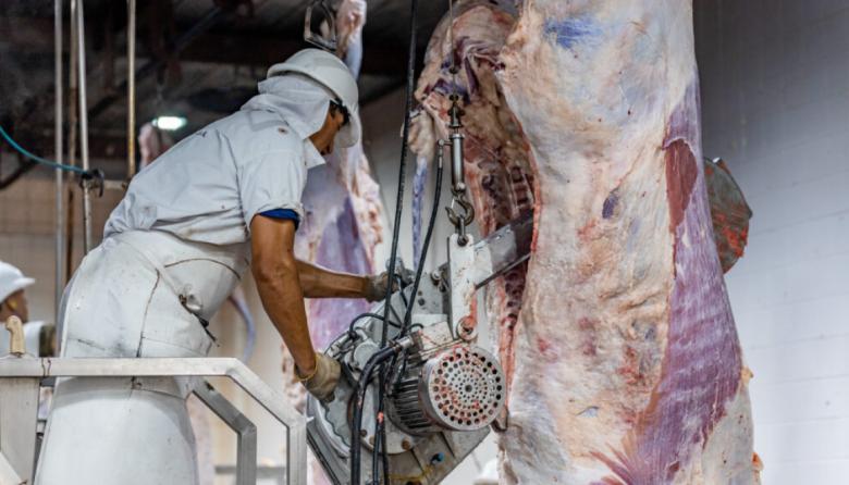 Ganadería: se consolida un año con menor oferta para la faena