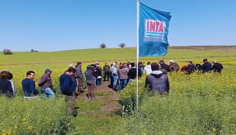 Avanza la “motosierra” en el INTA: cierran 14 agencias de extensión rural